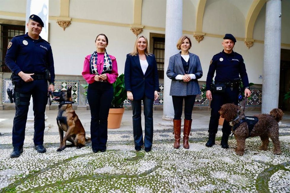 Presentación del proyecto Asican.