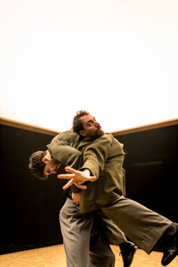 El Teatro Alhambra presenta el montaje de danza 'Los perros',  Led Silhouette.