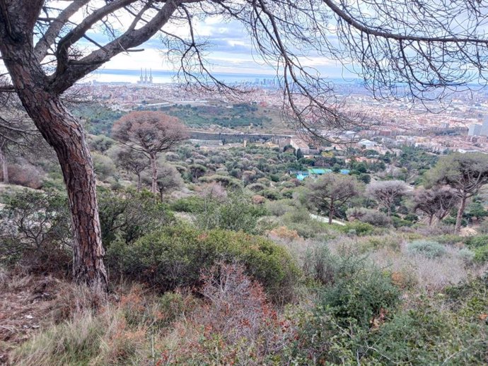 El Parque de la Serralada de Marina, cerca de la ciudad de Barcelona.