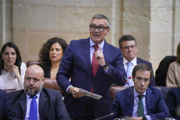 El portavoz de Vox, Manuel Gavira, en una imagen de archivo en el Pleno del Parlamento.