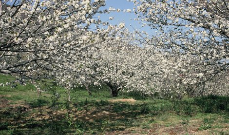 Comunicados Empresas