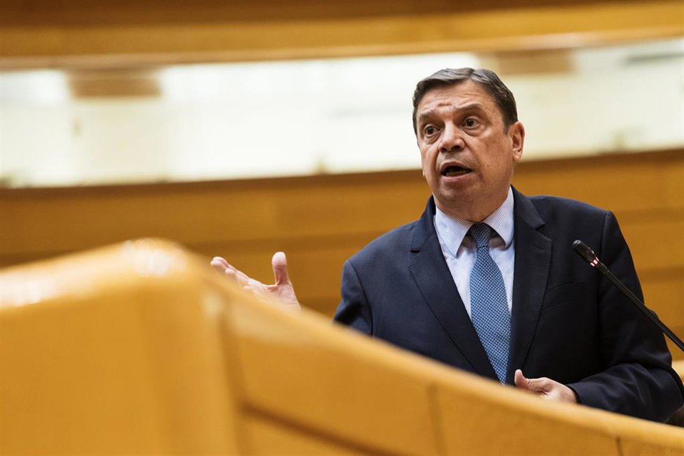 El ministro de Agricultura, Pesca y Alimentación, Luis Planas