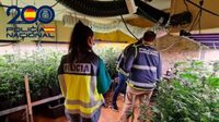 Once detenidos por un presunto delito de tráfico de drogas y clausurada una sociedad cannábica en Pamplona