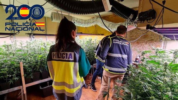 Agentes de la Policía Nacional en una de las plantaciones de marihuana desarticuladas.