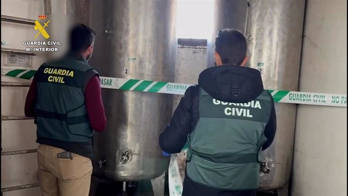 Seis detenidos y 11 investigados por robar cientos de kilos de aceitunas en campos madrileños