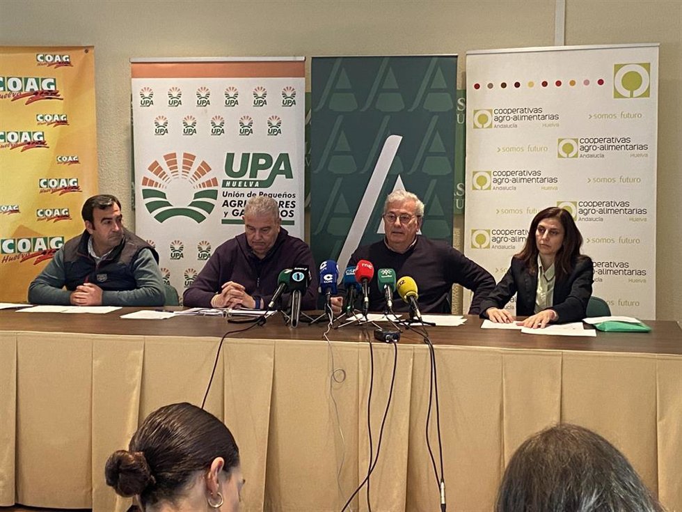 Imagen de la rueda de prensa de las organizaciones agrarias de Huelva para informar de la movilización del próximo lunes.