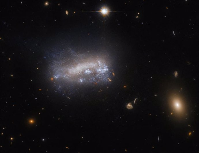Esta imagen del Telescopio Espacial Hubble de NASA/ESA muestra la galaxia enana LEDA 42160.