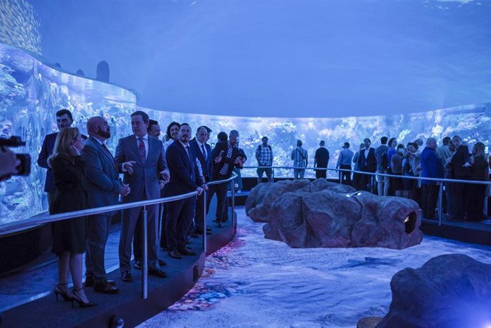 Archivo - Coral Kingdom, nueva experiencia inmersiva de Loro Parque con más de 8.000 corales