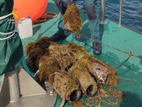 Retiran 65 trampas ilegales de pesca y liberan 40 kilos de pulpos en Santa Pola