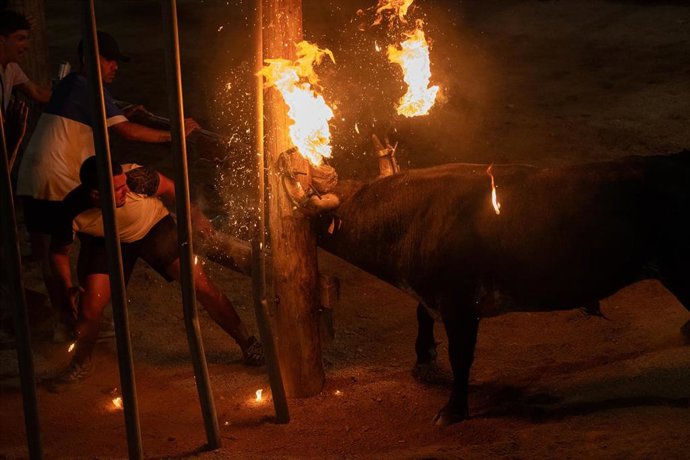 Archivo - Imagen de un 'bou embolat', en una fotografía de archivo