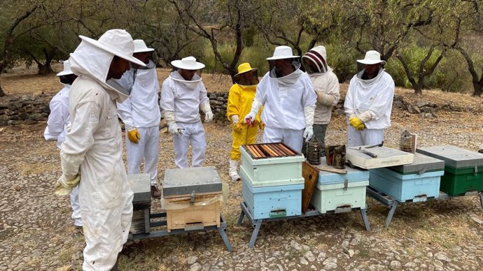 Curso de apicultura de la asociación malagueña.