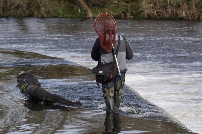 Archivo - Un pescador camina por el río, durante el primer día de temporada de pesca fluvial, a 19 de marzo de 2023, en Rábade, Lugo, Galicia (España). La temporada de pesca ha dado comienzo este domingo en la mayor parte de los ríos de Galicia y finaliza