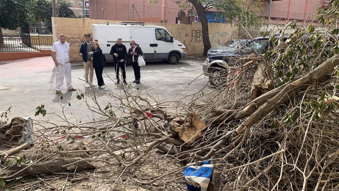 PSOE pide al Ayuntamiento un plan de limpieza y "mayor control" en San Andrés (Málaga) para acabar con los vertidos.