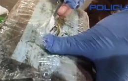 Cocaína incautada en el puerto de Guayaquil, Ecuador
