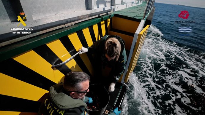 Denunciats quatre homes per pescar sense llicncia més de 2.400 animals marins a Santa Pola