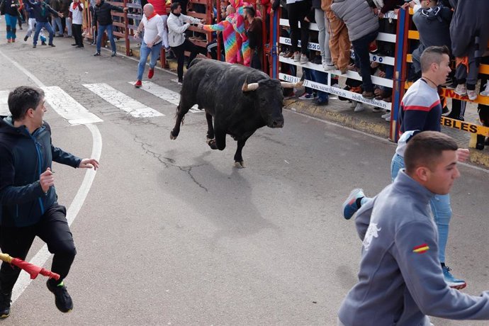 Archivo - Varias personas corren delante de los toros en un encierro en la Plaza Mayor de Ciudad Rodrigo.