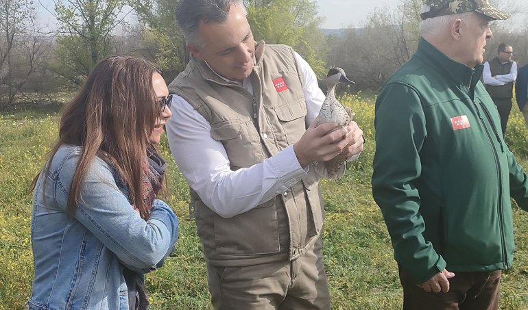 Comunicados Sociedad