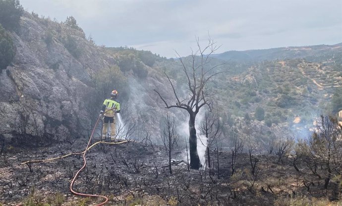 Un bombero de la DPT extingue un incendio forestal en la Subida del Caballo.