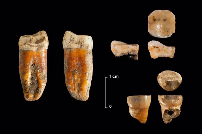 El Instituto de Prehistoria de Cantabria descubre restos neandertales de hace 100.000 años en el yacimiento de Axlor