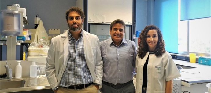 Investigadores de IBIMA encuentran una alternativa oral a las inyecciones de insulina para tratar la diabetes gestacional