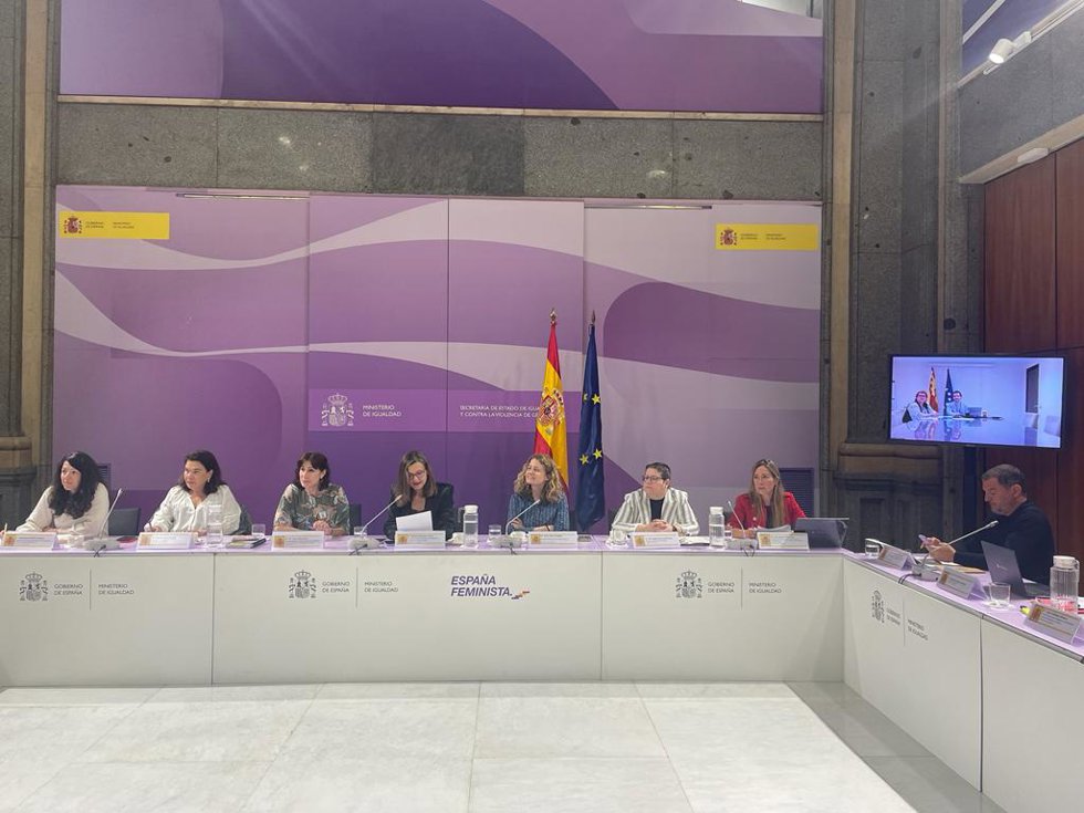 Pleno del Observatorio Estatal de Violencia contra la Mujer