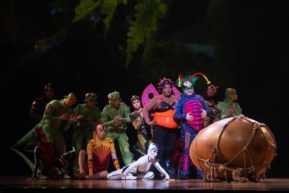 Archivo - Acróbatas durante la premiere del espectáculo OVO, del Circo del Sol.