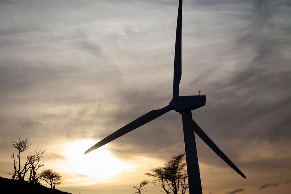 Un aerogenerador en un parque eólico