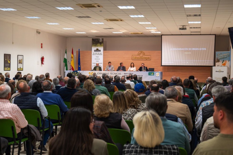 Presentación del documental 'El legado compartido de un AOVE extraordinario'.