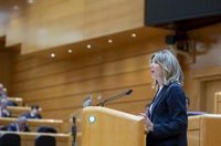 El PP avanza que el Senado planteará un conflicto de competencias con el Congreso por la ley de amnistía