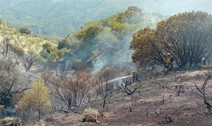 Conato de incendio en Otívar este martes