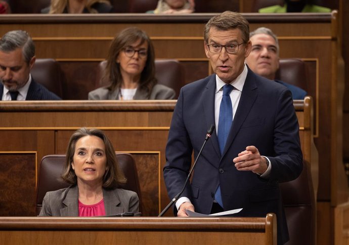 El líder del PP, Alberto Núñez Feijóo, interviene durante una sesión de control al Gobierno, en el Congreso de los Diputados, a 13 de marzo de 2024, en Madrid (España).  El denominado 'caso Koldo', la supuesta trama de mordidas en contratos de material an