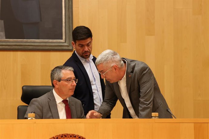 Pleno de la Diputación de Málaga de marzo