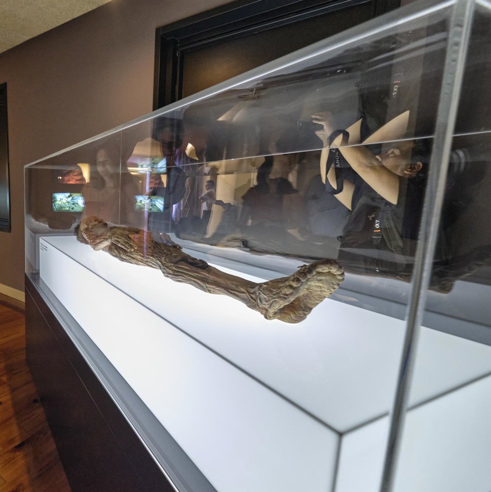 Réplica de una momia guanche que se exhibe en el MUNA
