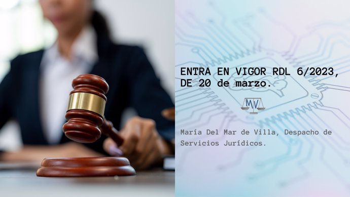 María Del Mar de Villa, Despacho de Servicios Jurídicos