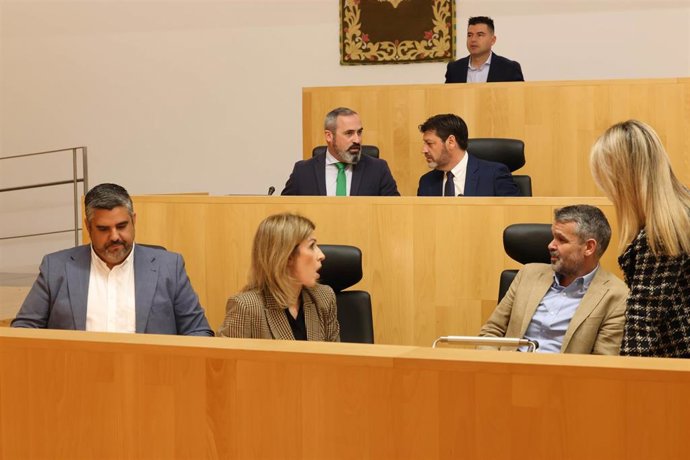 Pleno de la Diputación de Málaga