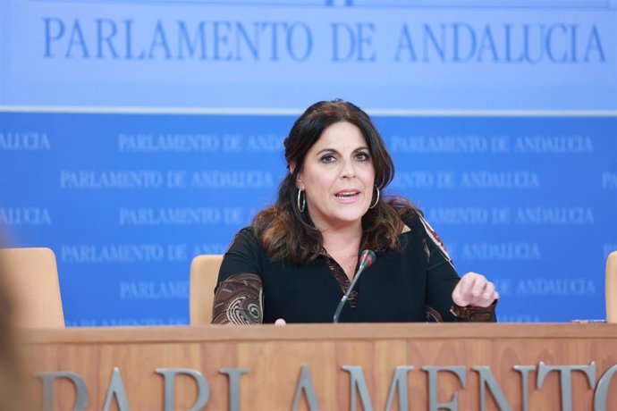 La portavoz del Grupo Socialista en el Parlamento de Andalucía, Ángeles Férriz, este miércoles en rueda de prensa.