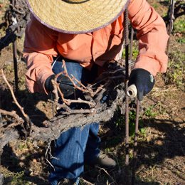 El Cabildo de Tenerife inicia el expediente para la declaración del Cordón Trenzado como Bien de Interés Cultural