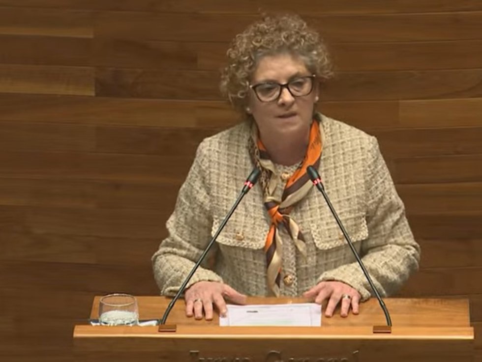 La diputada del PP en la Junta General Gloria García