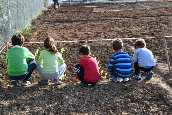 La Fundación Cobre Las Cruces financiará un aula verde en La Algaba.