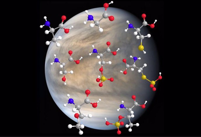 Investigadores del MIT han descubierto que los aminoácidos (principales componentes básicos de la vida en la Tierra) son estables en ácido sulfúrico altamente concentrado.