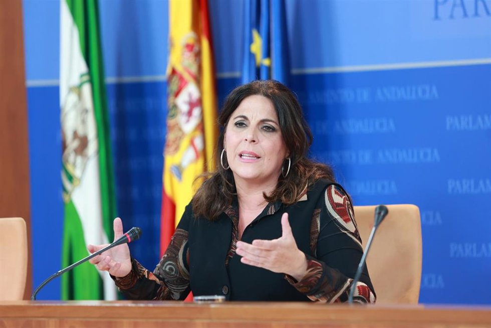 La portavoz del Grupo Parlamentario Socialista, Ángeles Férriz, este miércoles en rueda de prensa. 