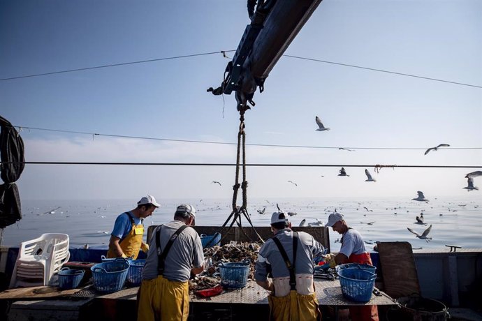 Archivo - Cerca de 2.600 pescadores de 45 puertos españoles recogen más de 150 toneladas de basura marina con Ecoembes y Ecoalf.