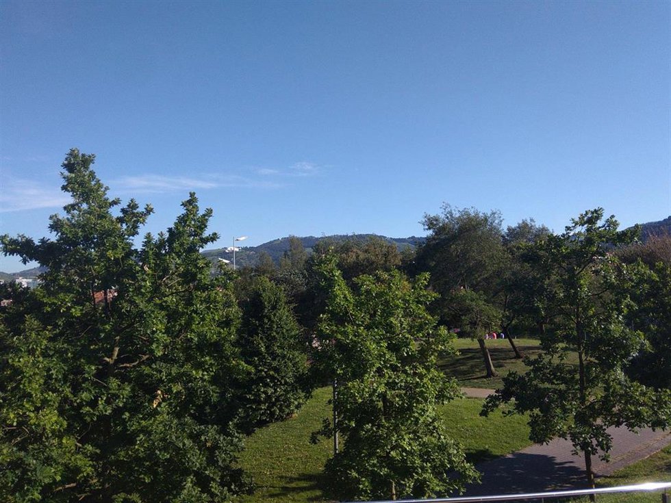 Archivo - Parque con arbolado en Barakaldo.