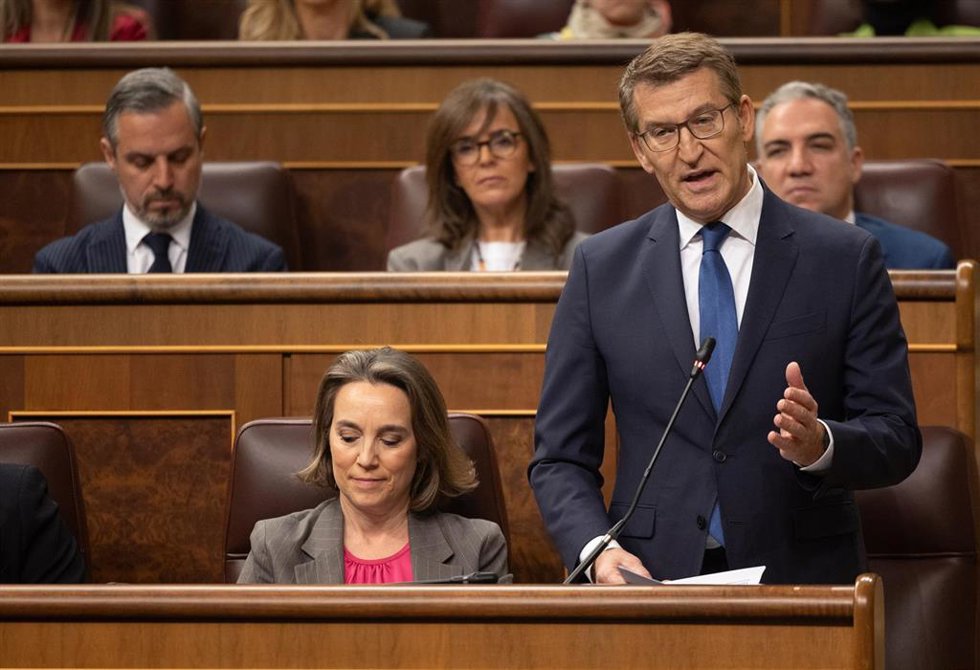 El líder del PP, Alberto Núñez Feijóo, interviene durante una sesión de control al Gobierno, en el Congreso de los Diputados, a 13 de marzo de 2024, en Madrid (España). 