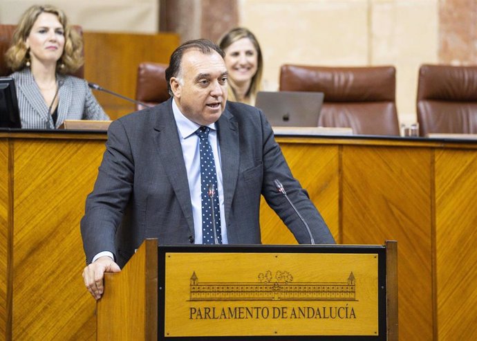 El consejero de Turismo, Cultura y Deporte, Arturo Bernal, este miércoles compareciendo en el Pleno del Parlamento.