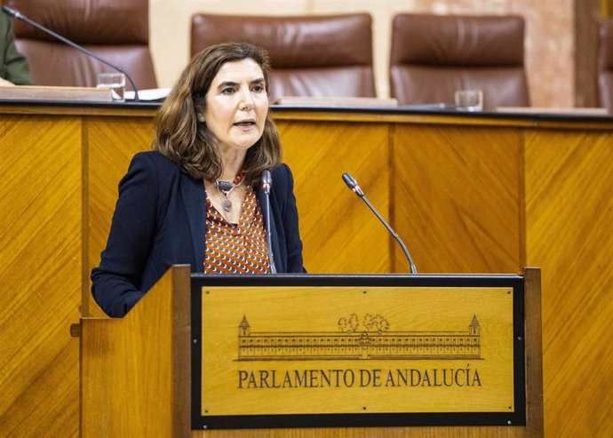 La consejera de Empleo, Empresa y Trabajo Autónomo, Rocío Blanco, comparece en el Pleno del Parlamento andaluz.
