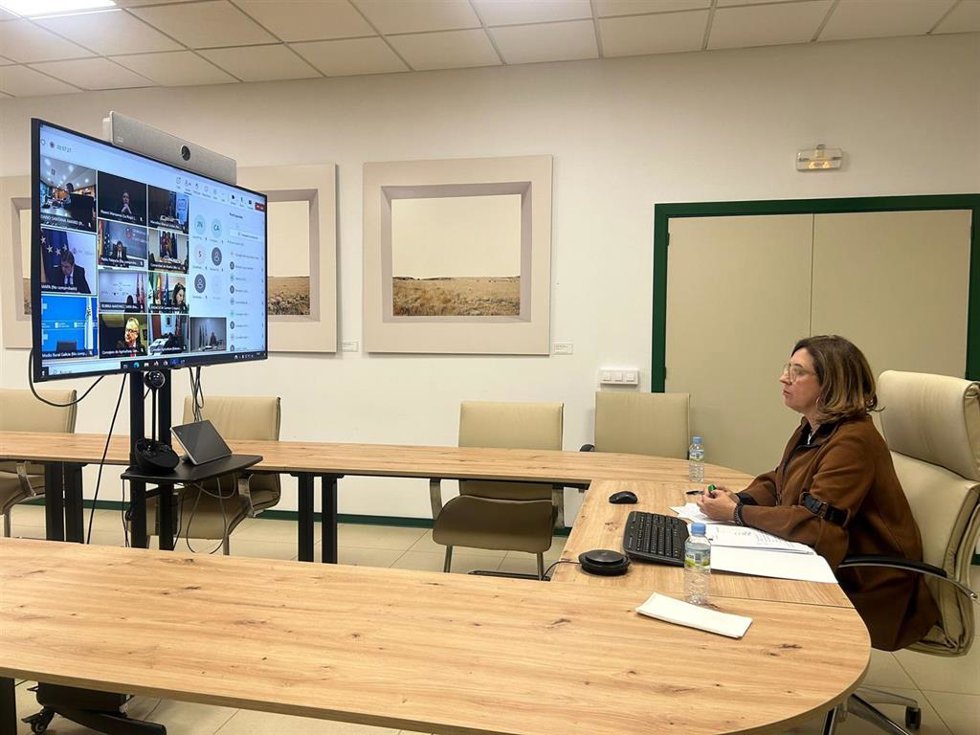La consejera de Agricultura, Ganadería y Desarrollo Sostenible, Mercedes Morán, en la reunión del Consejo Consultivo de Política Agrícola y Pesquera
