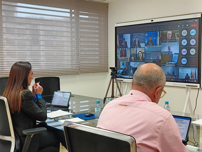 La consejera Sara Rubira participa en el Consejo Consultivo, celebrado por videoconferencia