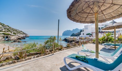 Comunicados Sociedad