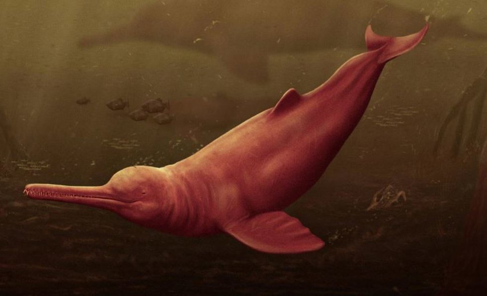 Reconstrucción artística de la yacuruna pebanista en las turbias aguas de la protoamazonia peruana.